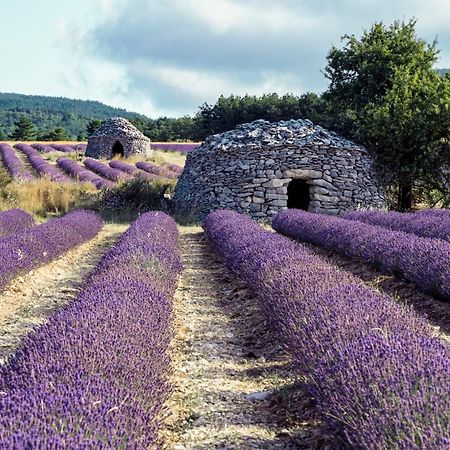 Le Cabanon Des Lavandes Entre Mont Ventoux Et Luberon Sault-de-Vaucluse Exterior photo
